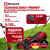 Комбо: Газонокосилка + Триммер Einhell GE-CM 18/30 Li (1x3,0Ah) + GE-CT 18 Li (908766620)