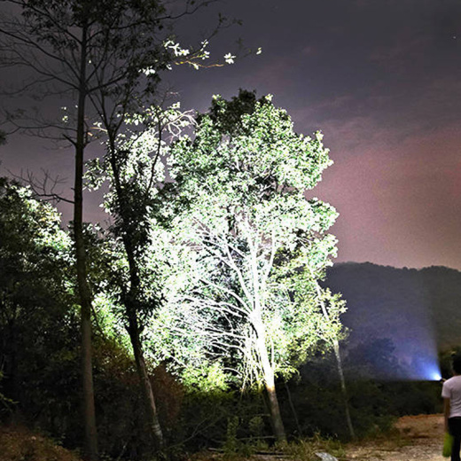 Фонарь светодиодный с боковой лампой Арт.660713