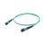 Оптический патчкорд OK-MPO/UPC-MPO/UPC-FF-MM-8F-OM3-3m