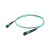 Оптический патчкорд OK-MPO/UPC-MPO/UPC-FF-MM-12F-OM3-5m